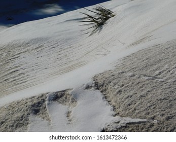 Dirty Snow In Rural Nebraska (winter 2020)