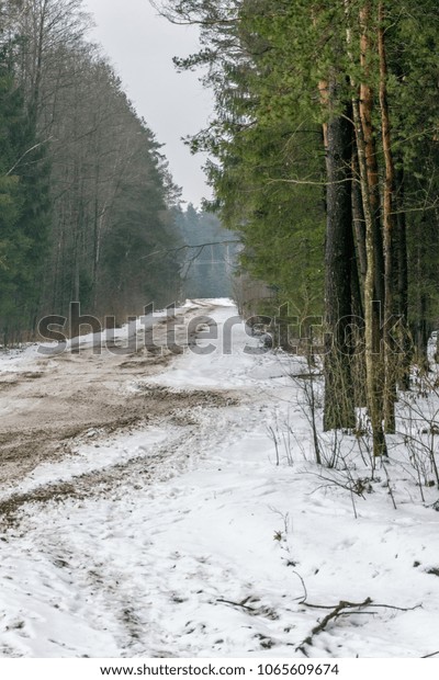 Dirty Snowy  road in the\
forest