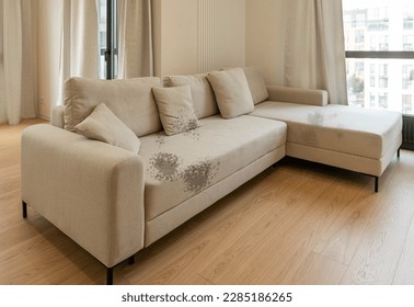 Dirty stain on grey sofa in living room