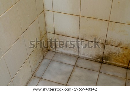 Dirty stains on bathroom floor and wall tiles. Rust stains on the surface in the toilet.
