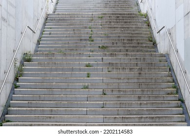 dirty stairs with some green plants surrounded by two walls and handrails of steel - Shutterstock ID 2202114583