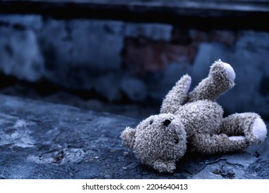 4,037 Dirty bear Stock Photos, Images & Photography | Shutterstock