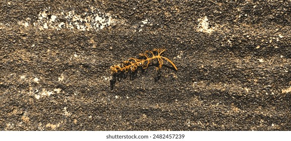 Dirty texture close up background image