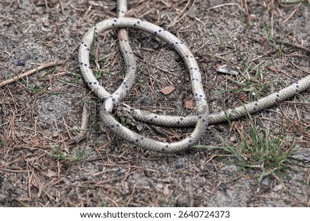 Dirty thick rope on the ground. Twisted strong rope