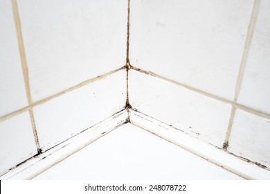 Dirty Tiles In A Bathroom Shower With Sealant Covered In Mould And Mildew