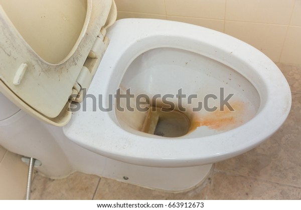 Dirty Toilet Apartment Stock Photo (Edit Now) 663912673