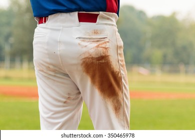 Dirty Trousers Of A Baseball Player