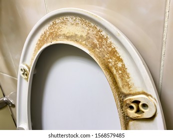 Toilet seat dirty Images, Stock Photos & Vectors | Shutterstock