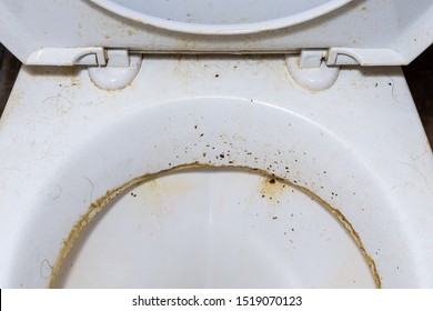 28,190 Dirty toilet Stock Photos, Images & Photography | Shutterstock