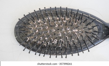 Dirty Used Hair Brushes