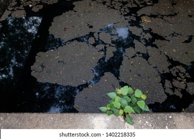 Dirty waste dark black stink bad water smell from city under water pollution process sewer drain pipe dirt sewage water drain to Wastewater Treatment with poor ecosystem and circular economy. 