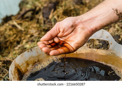 Dirty Water In A Bucket Of Water And A Person's Hand.