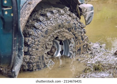 Dirty wheel of a 4x4 off-road car is half drowned in a puddle. Car wheels on steppe terrain splashing with dirt. SUV or offroader on mud road. Car racing offroad. Offroad car in action.