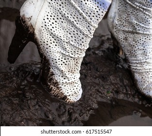 349 High heels in mud Images, Stock Photos & Vectors | Shutterstock
