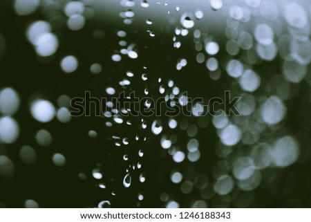 Similar – Image, Stock Photo beaded Drops of water