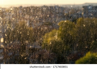 Dirty Window Glass With Dust And Dried Raindrops Backlit With A Sunlight On A Blurred Background Of Spring Green Trees. Dirty Glass Lit By The Sun. Texture. Front View.