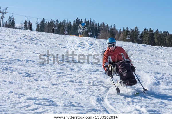 disabled\
athlete and downhill, snow winter sports for active rehabilitation\
of persons with handicap, man with physical disabilities trains in\
alpine skiing slalom, handicapper mono\
ski