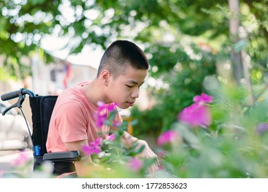 Disabled Child On Wheelchair Is Playing, Learning And Exercise In The Outdoor City Park Like Other People,Lifestyle Of Special Child,Life In The Education Age Of Children,Happy Disability Kid Concept.