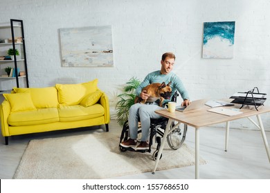 Disabled Man Holding French Bulldog On Knees And Working On Laptop At Home