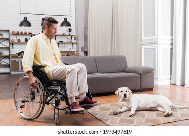 disabled man in wheelchair smiling while looking at labrador lying on carpet - Powered by Shutterstock