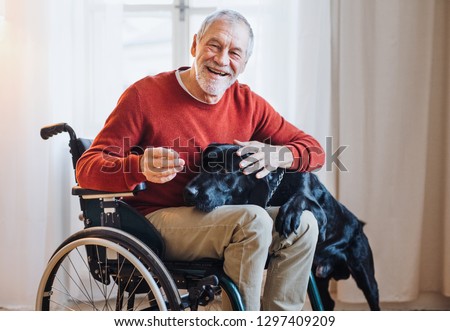 A disabled senior man in wheelchair indoors playing with a pet dog at home.