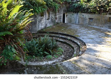 Disappearing Gun Battery Foundation Overtaken By Ferns.