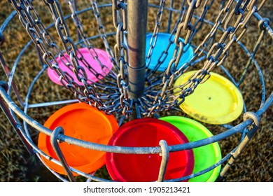 Disc golf basket with discs. The metal parts of the basket are selectively in focus.