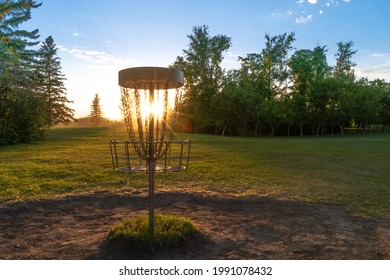 Disc golf target on an early summer evening. Sunset in the background. Room for copy