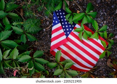 Discarded American Flag In Weeds Abandoned Disrespect