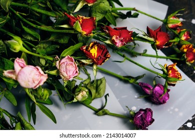 Discarded Bouquet Of Decorative Roses, Dried Flowers