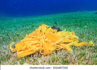 Discarded Carpet Ends Up Underwater Lying On The Seagrass