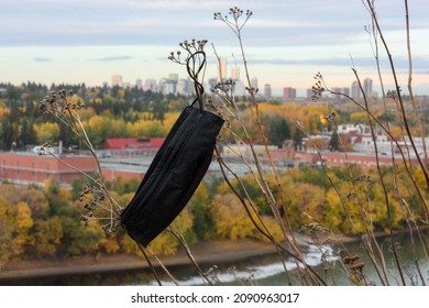 Discarded Mask In The North Saskatchewan River Valley