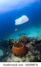 Discarded plastic bag drifts over a tropical coral reef causing a hazard to marine life such as turtles