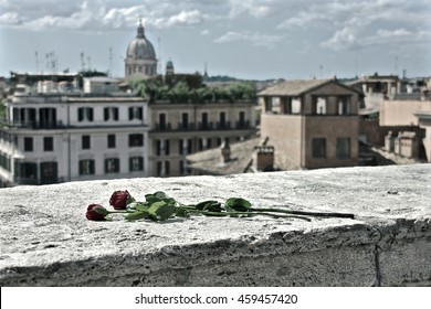 Discarded Roses At The Spanish Steps In Rome, Italy.