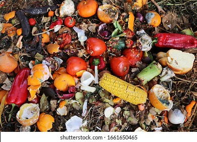 Discarded And Spoiled Food On A Rubbish Heap