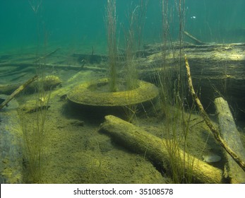 Discarded Tire On Lake Bottom.