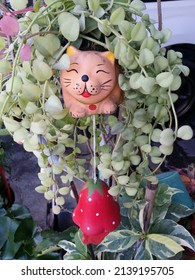 dischidia or white diamond plant around smiling lovely cat sculpture ceramic wind chime hang big red tomato outdoor house's garage