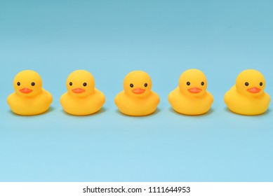 Discipline Concept, Rubber Ducky Are Lining Up Facing Same Direction