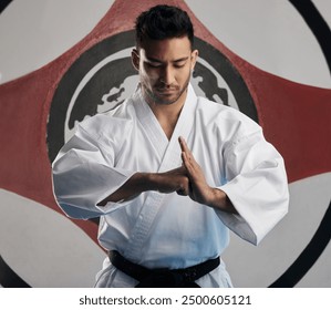 Discipline, karate and man in dojo, martial artist and sign of respect, greeting and training for competition. Person, sensei and master in uniform, black belt and practice with skills and fitness - Powered by Shutterstock