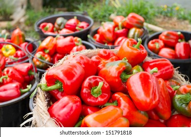 Disconnect the red bell peppers in the garden toxins