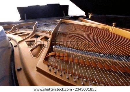Discover the exquisite beauty of a grand piano's interior. Close-up view showcasing craftsmanship and musical artistry.