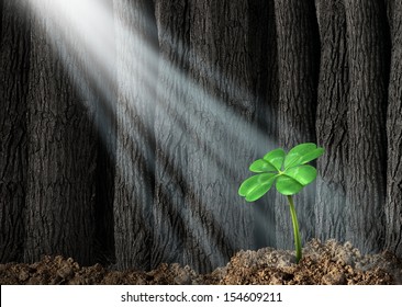 Discover Opportunity And Prosperity Finding Success As A Business Concept With A Green Four Leaf Clover Growing In A Dark Forest With Beams Of Light Shinning On The Icon Of Fortune And Luck.