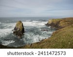 Discover the scenic Yaquina Head Natural Area along the majestic West Coast, featuring the enchanting Singing Rock Beach