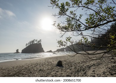 Discover Second Beach In Forks, Washington, USA.