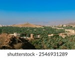 Discovering the lush oasis of Al Ain Oman with palm trees and mountains under a clear blue sky