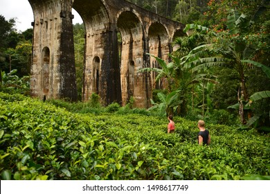 Discovering the tea fields around the ancient nine arches bridge in Ella.