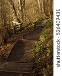 Discovery Park Bluff Path