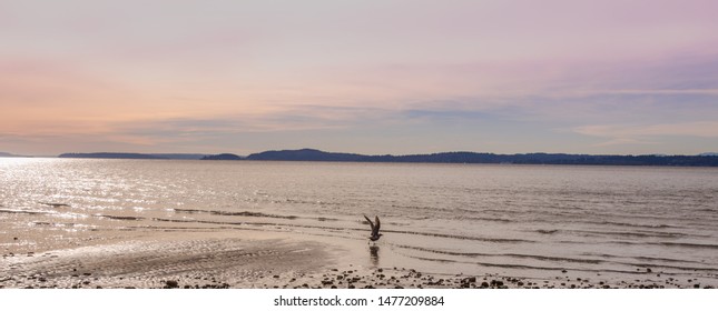 Seattle Discovery Park Images Stock Photos Vectors Shutterstock