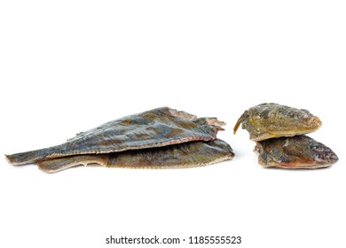 Diseboweled And Beheaded Fresh Raw Flatfish Isolated On White Background