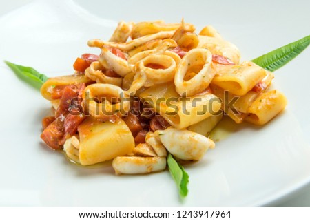 Dish of calamarata pasta with squid and tomato on white background